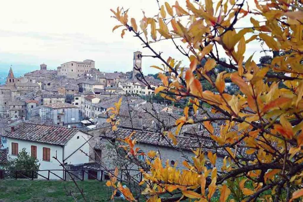Teo's House E La Casa Ideale Per Il Relax Anghiari